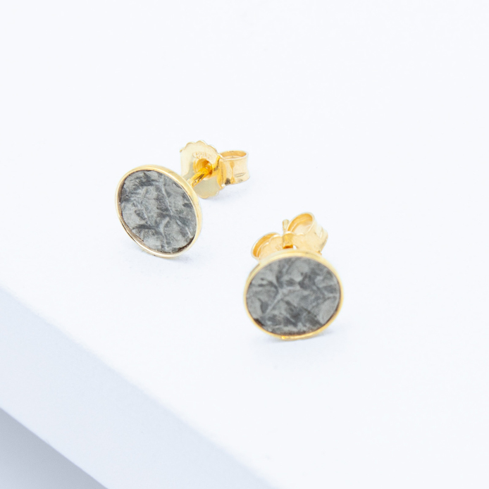 Schmuck aus Fischleder von Studio 4L. Ohrstecker R20L Gold Grau