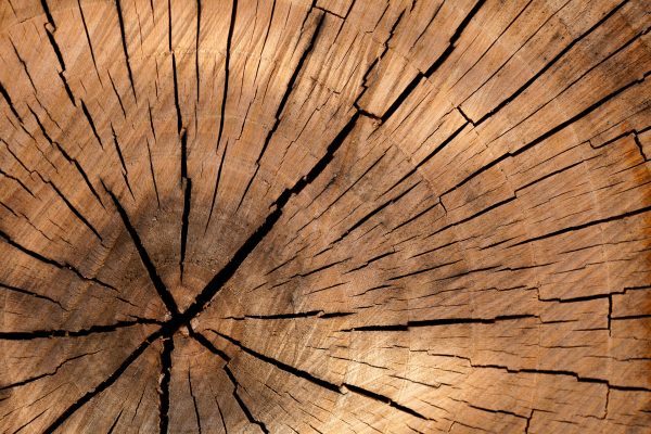 Studio 4L fertigt alle Produkte, wie z.B. Betonschmuck und Interior aus natürlichen und modernen Materialien, wie zum Beispiel aus Holz.